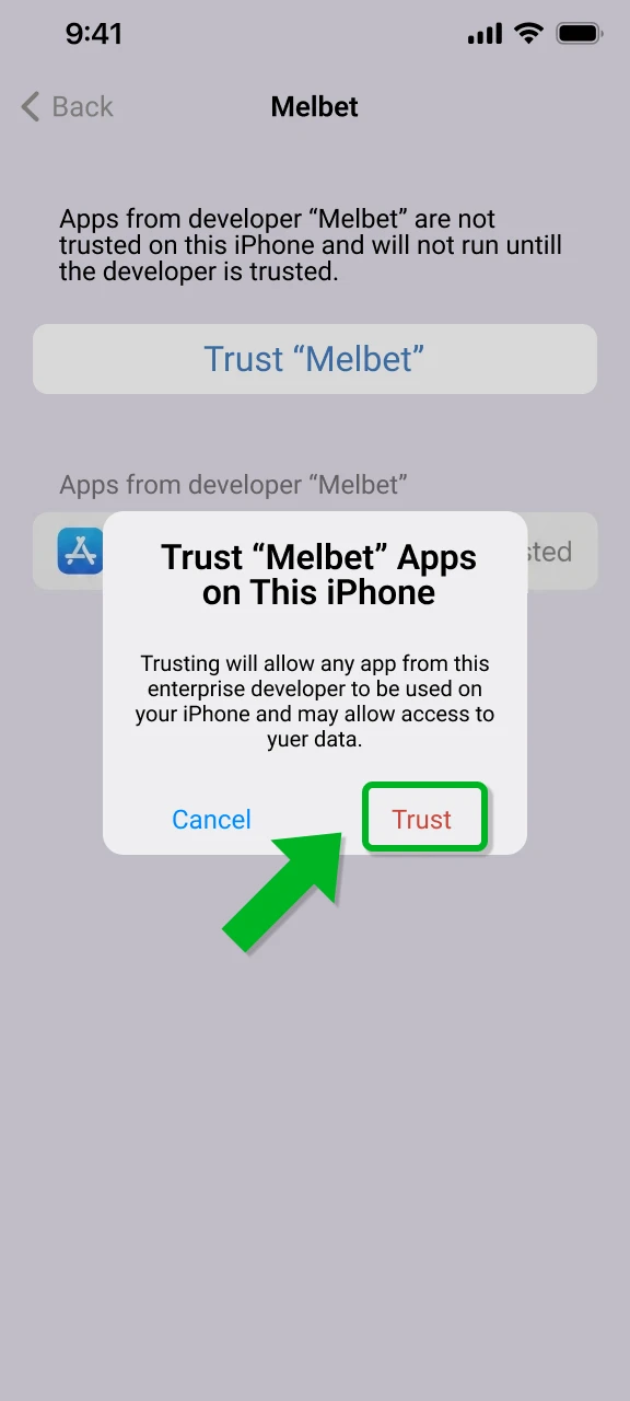 Trust the developer profile to ensure a smooth Melbet iOS App setup.