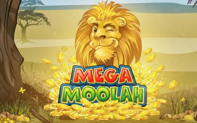 Win a massive jackpot in the Mega Moolah game at Melbet India.